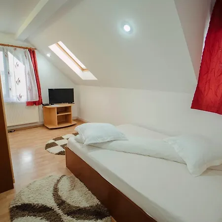 Penzion Casa Miruna Poiana Negrii