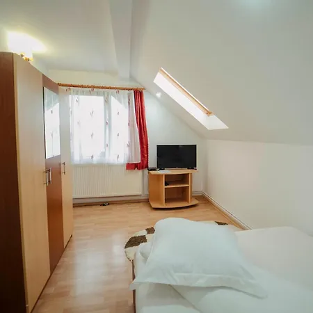 Casa Miruna Penzion *