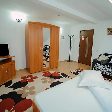 Casa Miruna Penzion *
