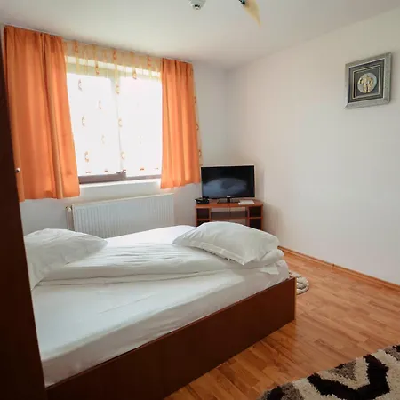 Casa Miruna Penzion *